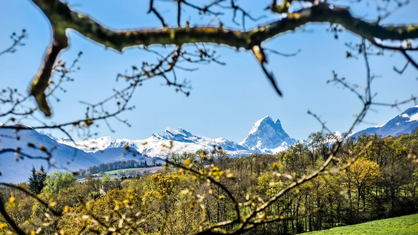 Gan - Côteau de Bastarrous - Le Pic du midi d'Ossau