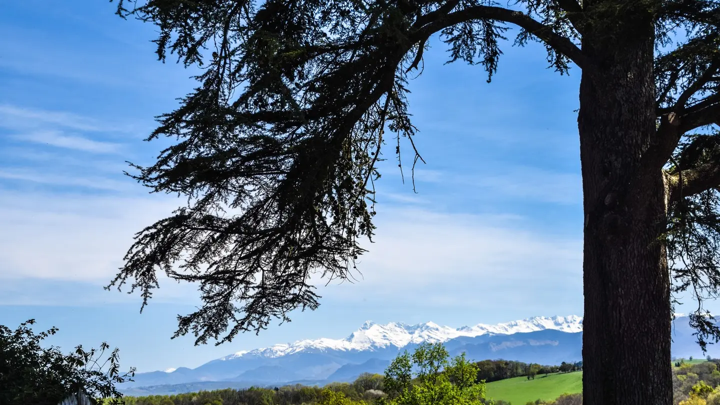 Panorama Pyrénées