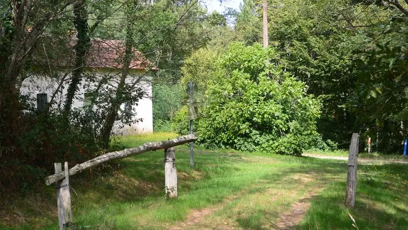 DSC-6330
