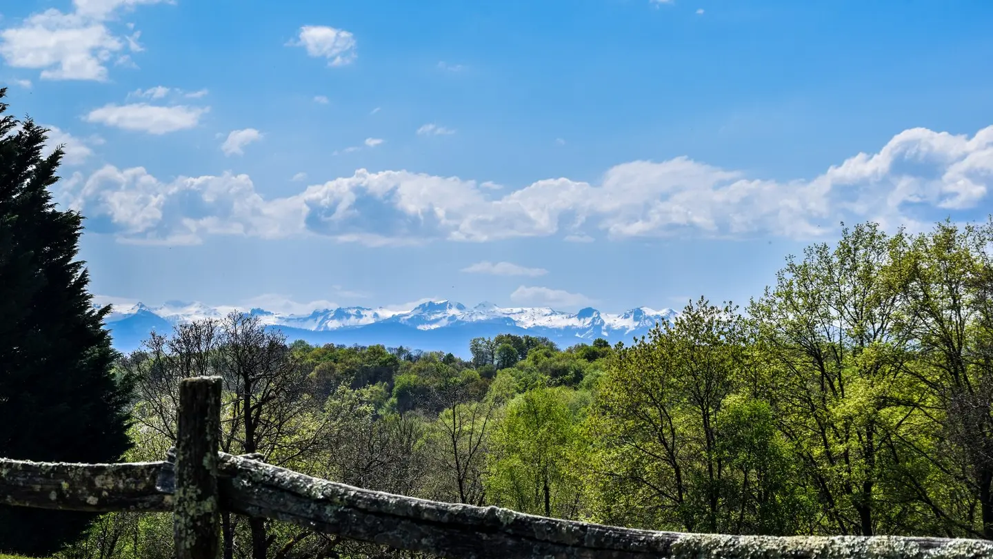 Vue Pyrénées