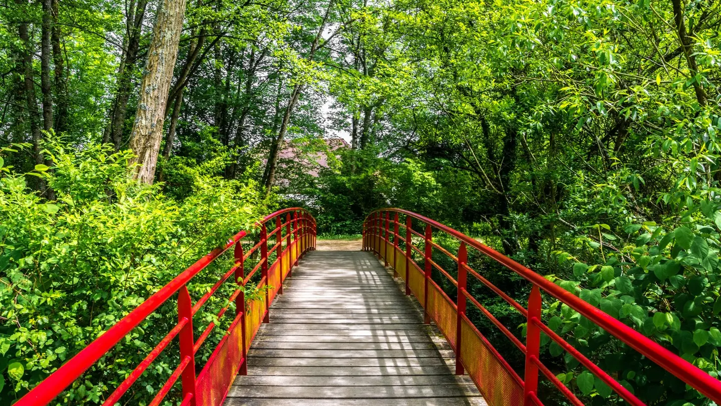 Lons - Lanot - Passerelle