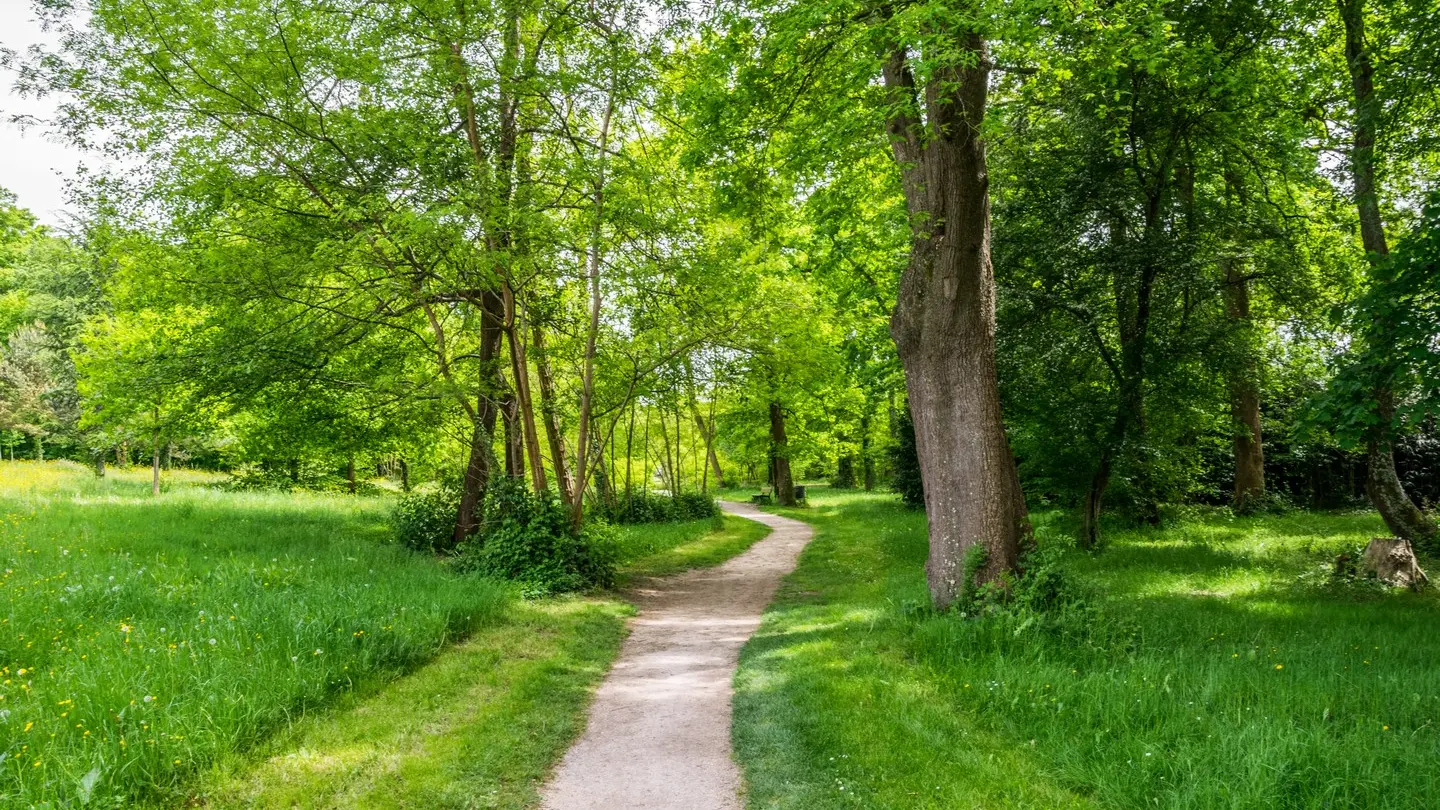Lons - Lanot - Chemin long de l'Ousse