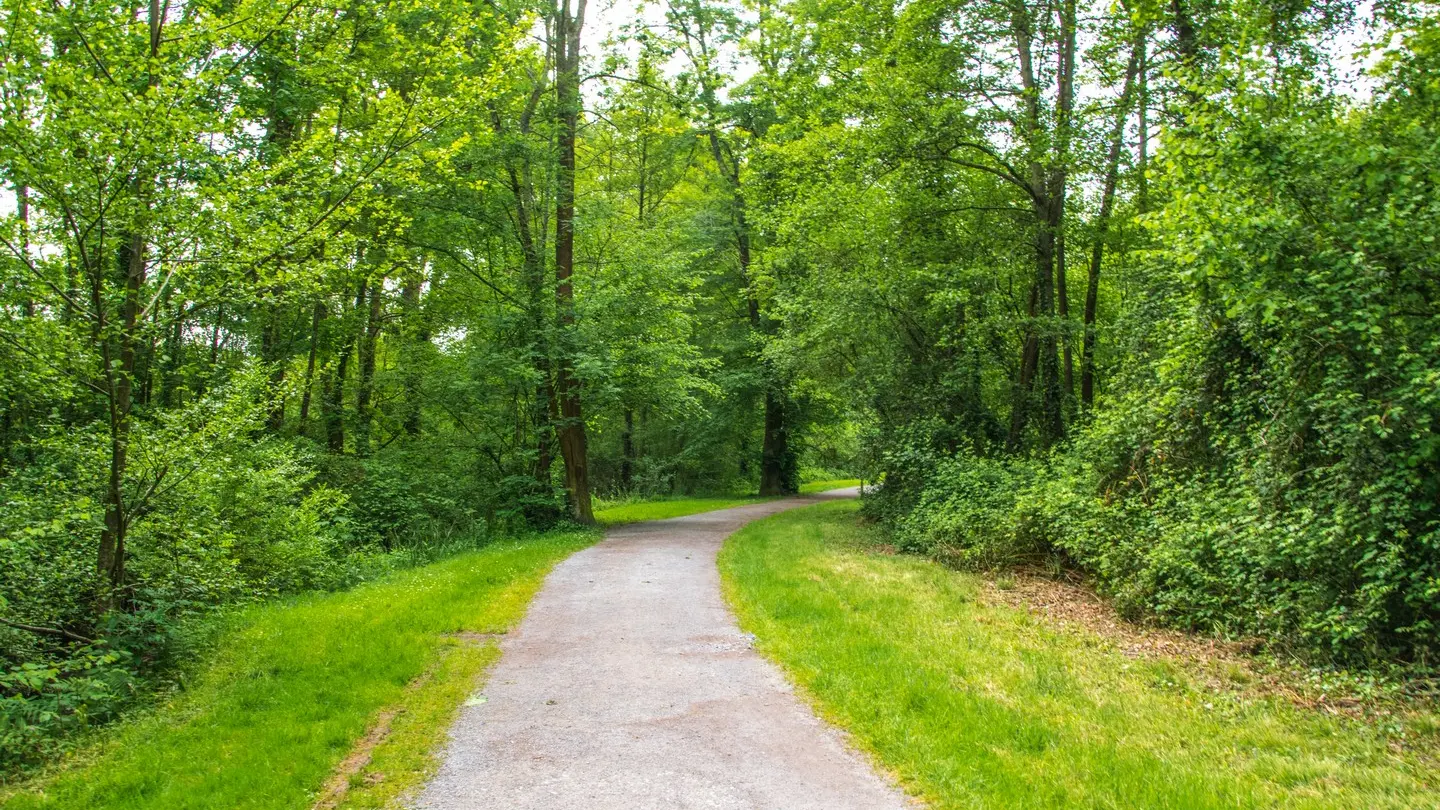 Lons - Lanot - Chemin