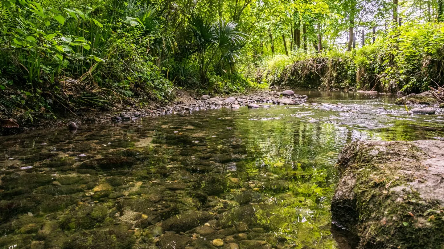 Lons - Lanot - Ruisseau
