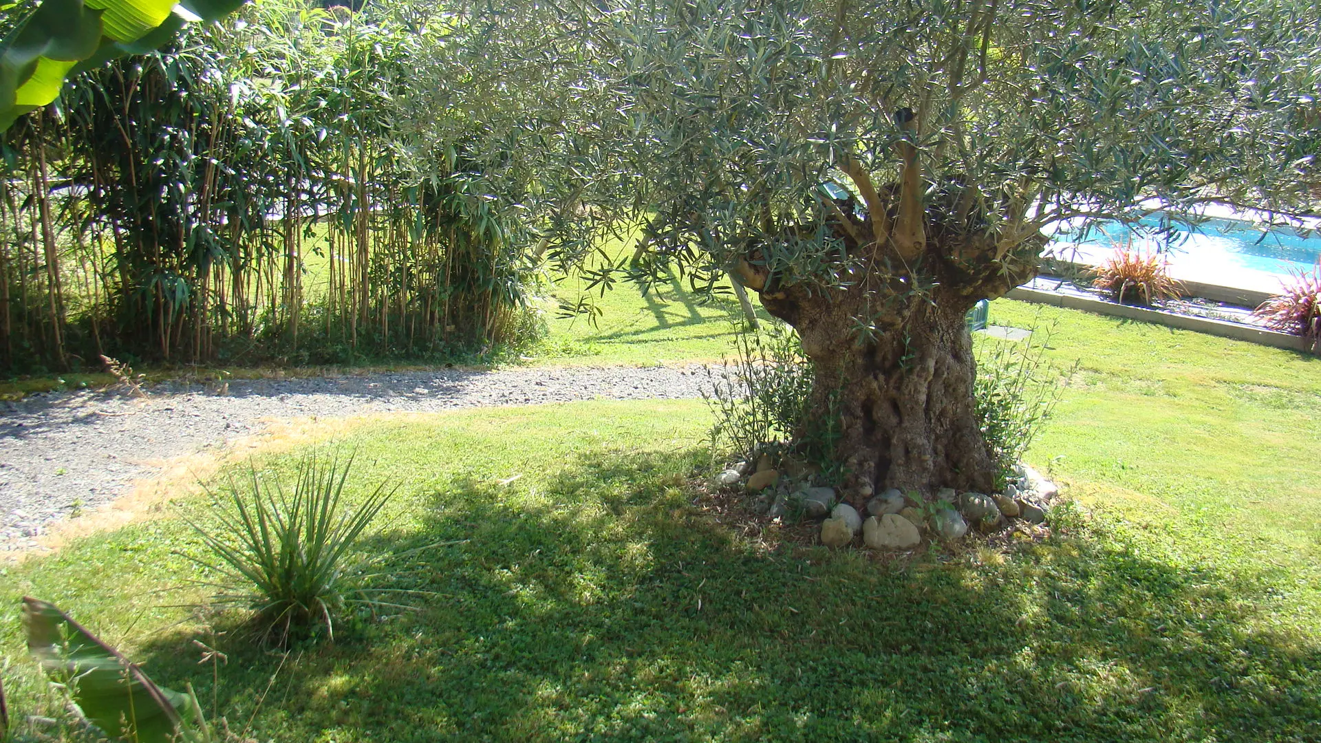 Relais Soubacq - Jurançon - jardin