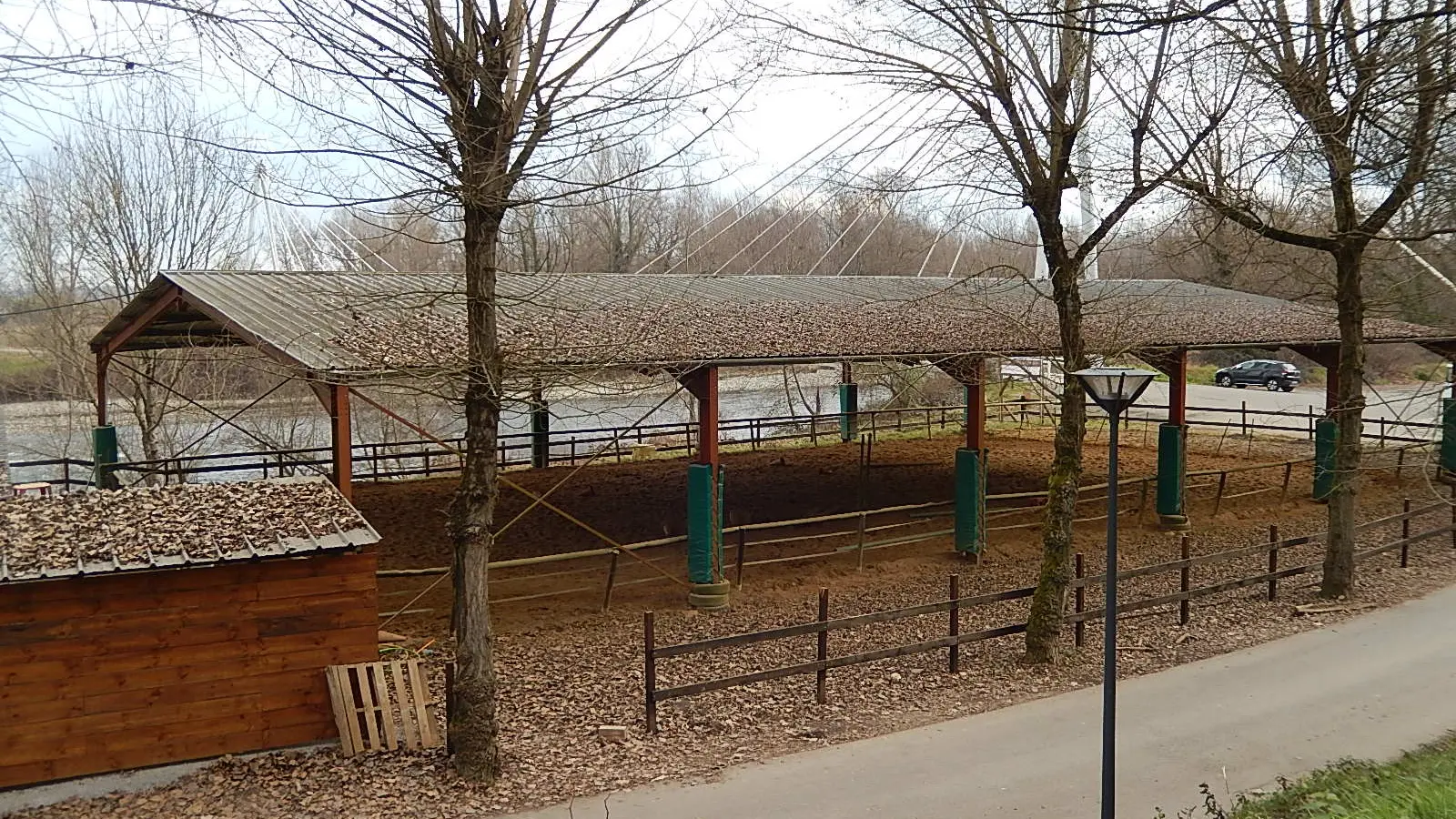 Cheval Détente - Laroin - manège couvert