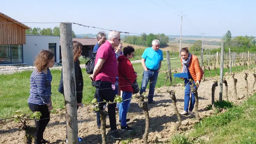 Domaine de Ferrant Vuillien Esclottes