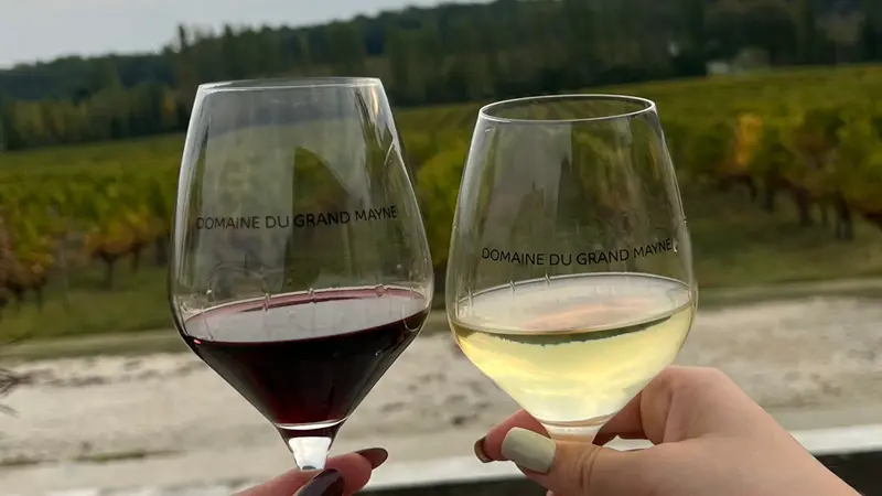 Domaine Grand Mayne évènement 2024 (2)