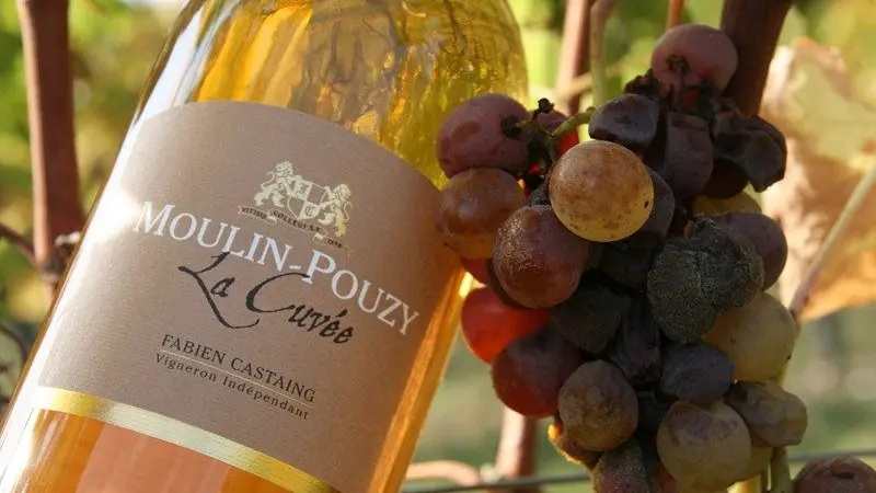 Domaine de Moulin-Pouzy - bouteille