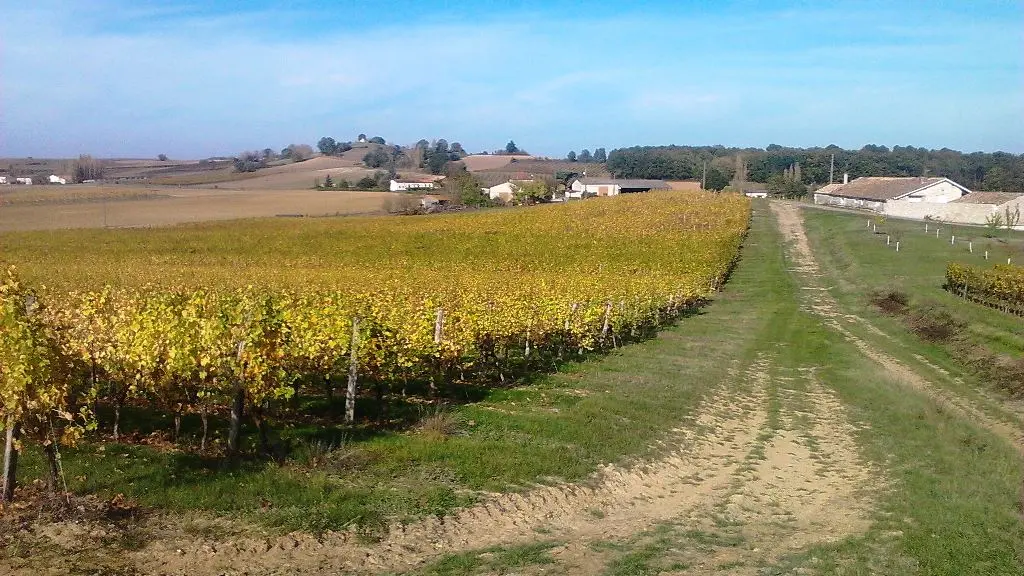 Domaine La Tuilerie Patriarca