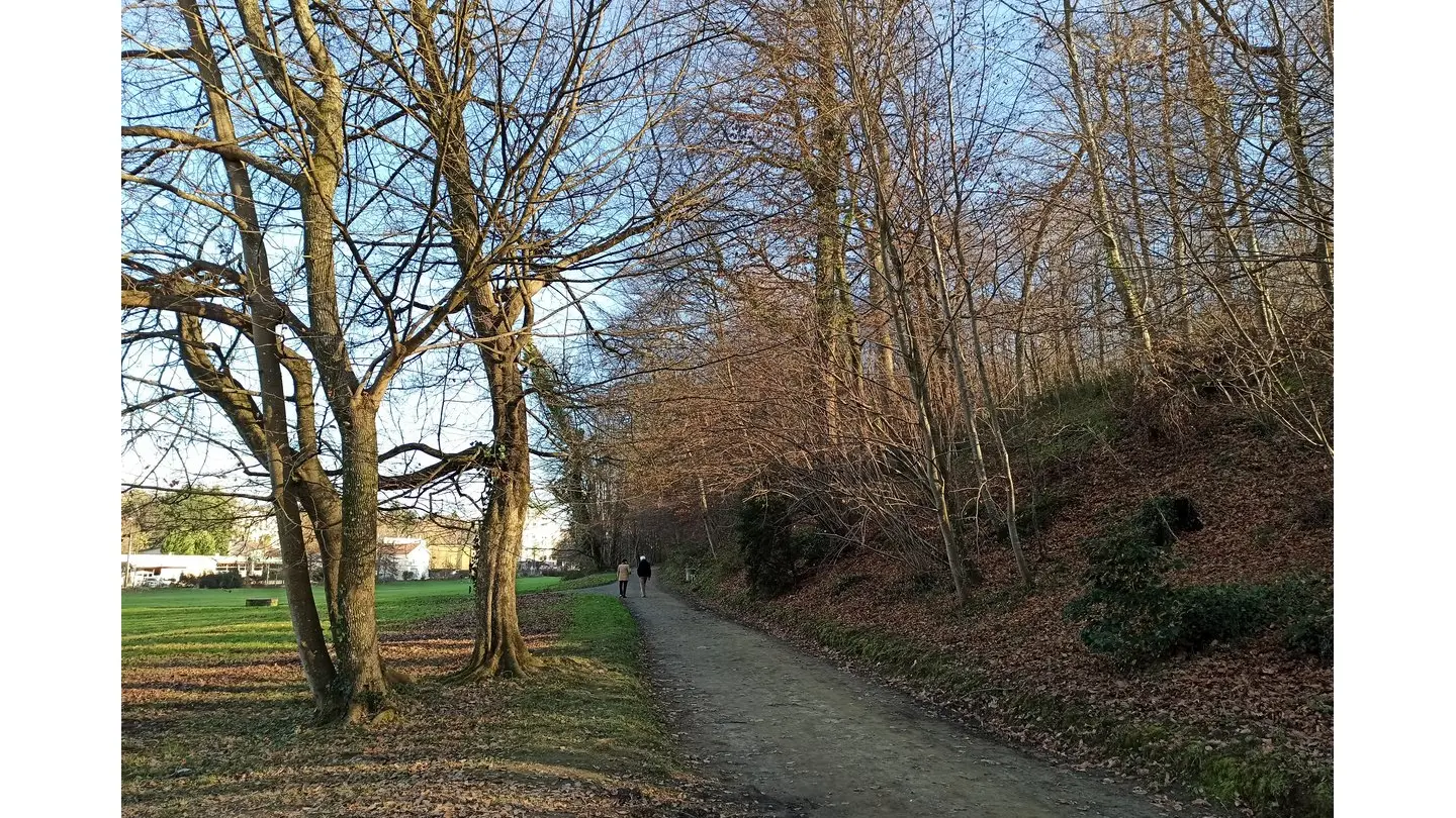 Parc du château de Pau - allée