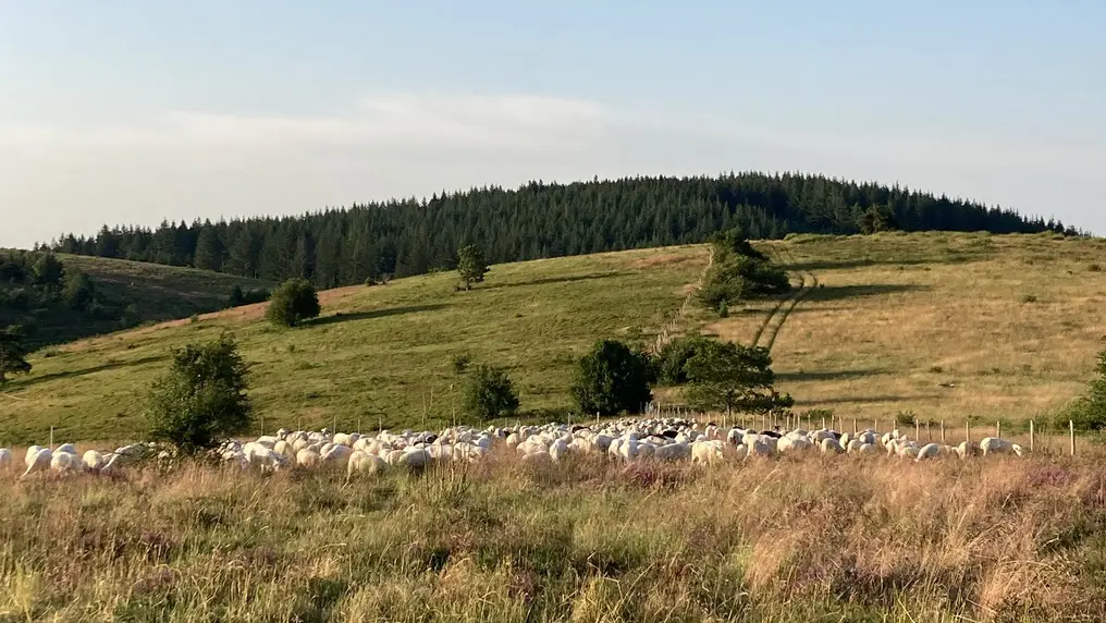 Ferme_de_la_Monédière_1