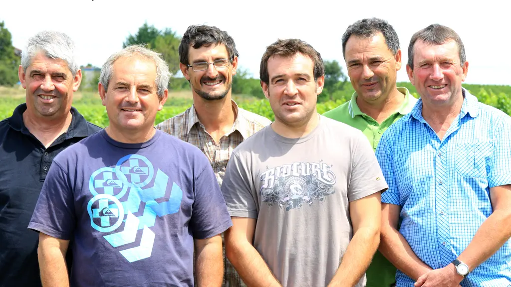 Les vignerons de Berticot