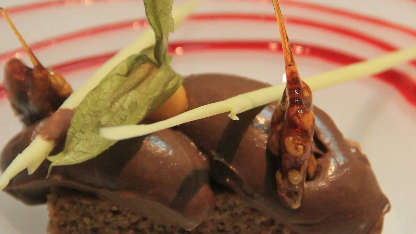 Gâteau aux noix du périgord