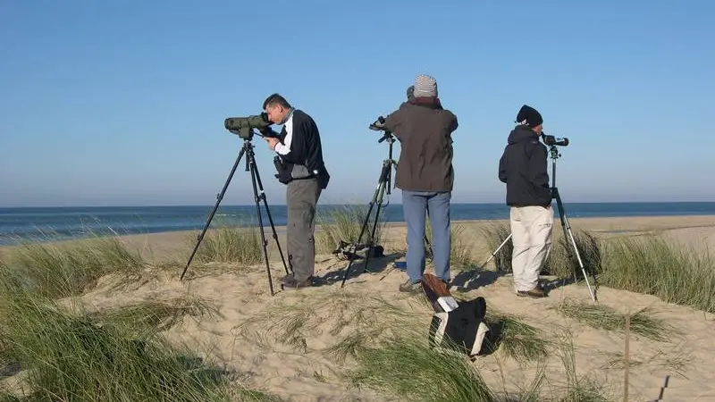 Groupe en train de spotter