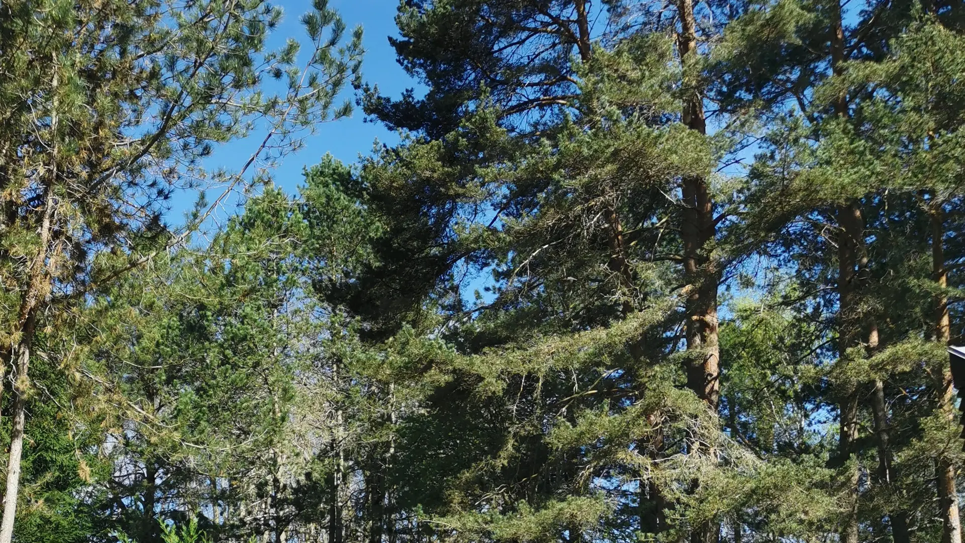 Hébergements dans un parc naturel