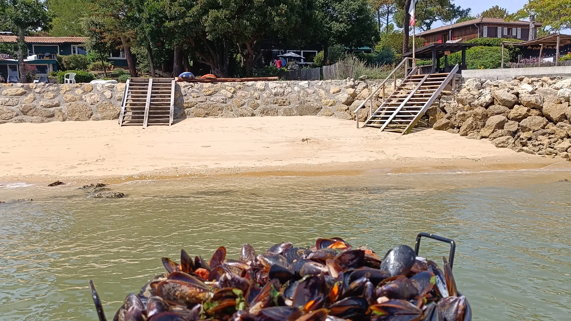 Dégustation de moule