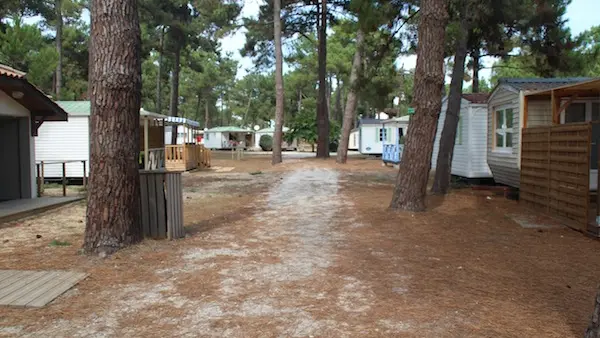 Camping Municipal de l'Océan