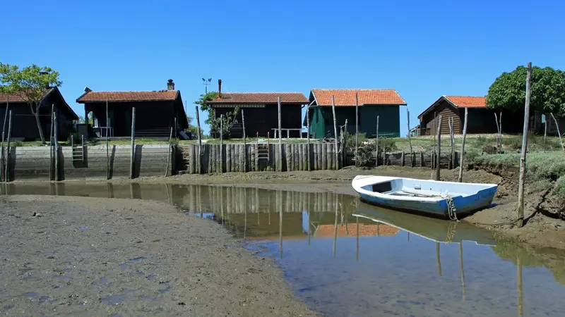 Ile aux oiseaux