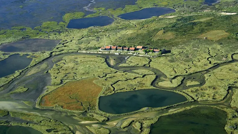 Iles aux oiseaux