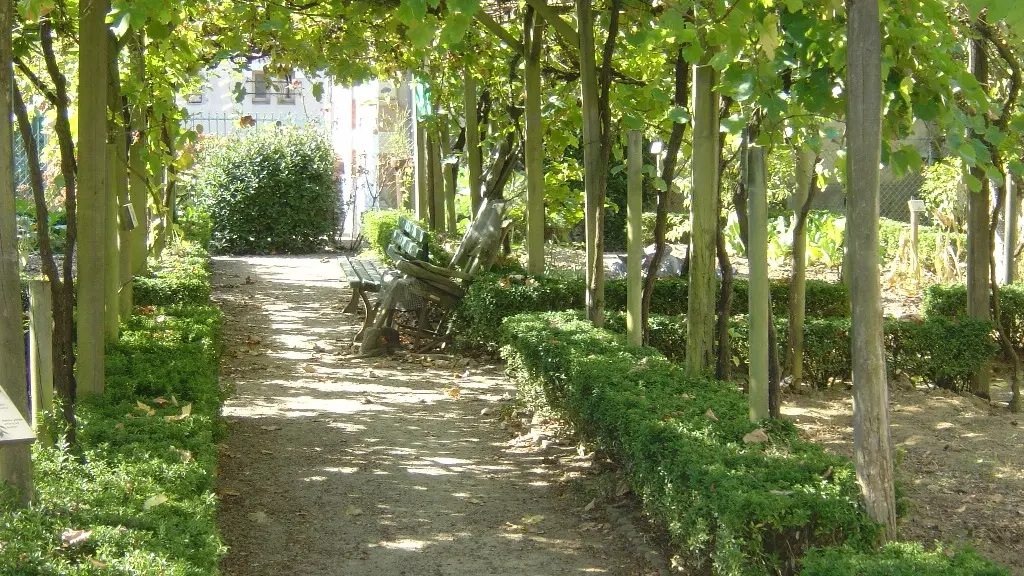 Jardin de Payot - vignes ACM