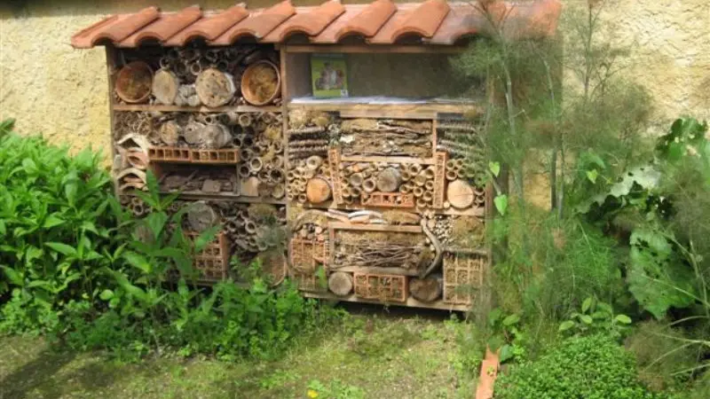 Jardin de Payot - Hôtel à insectes ACM