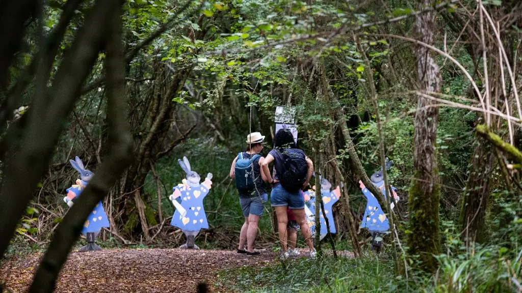 Jeu Vallée Mystérieuse enfant parcours bois activité jeux_2022_hd