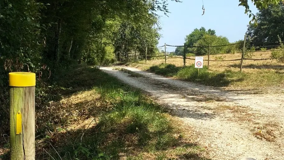 LACROPTE-Boucle du Rontlet-chemin 2