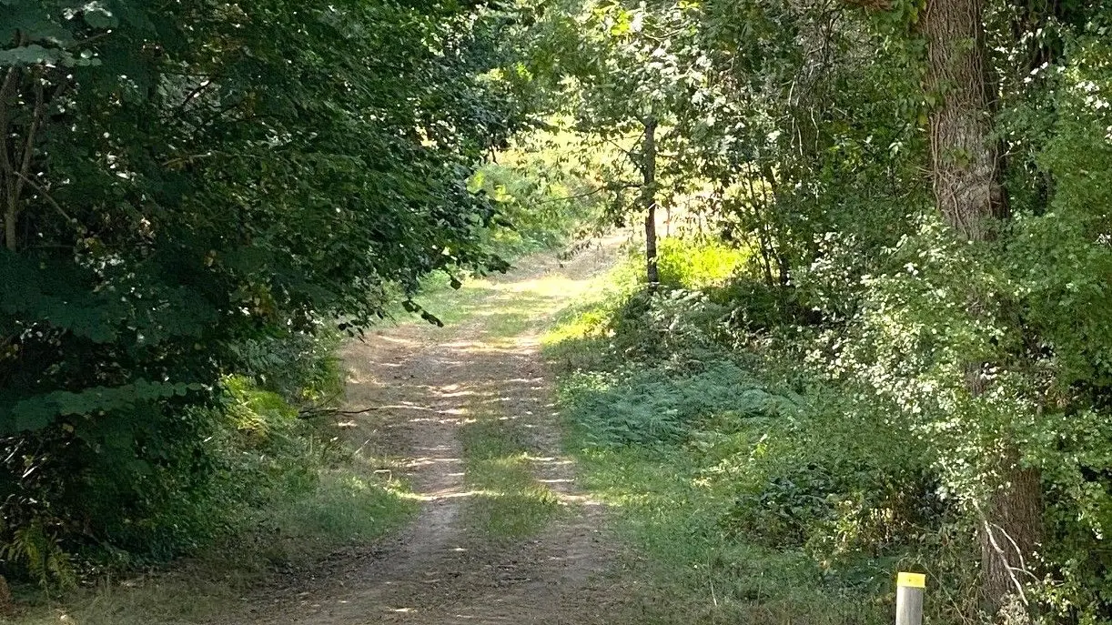 LACROPTE-Boucle du Rontlet-chemin