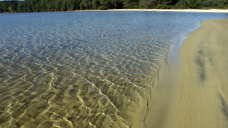 Lac de Cazaux