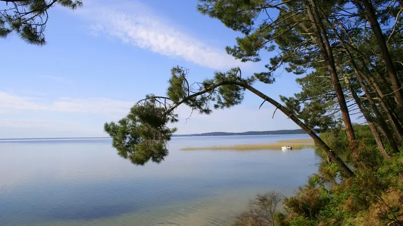 Lac de Cazaux