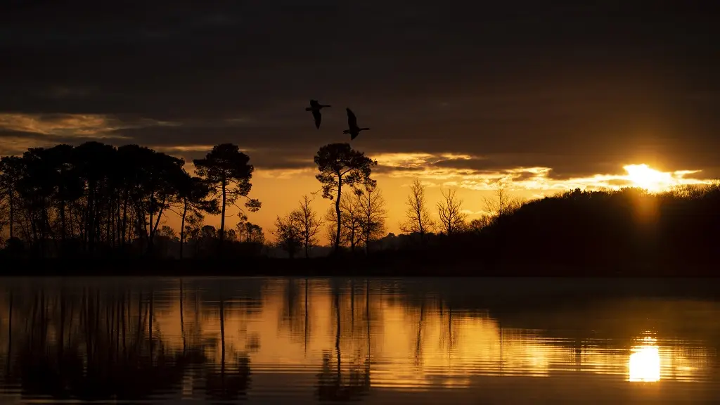 Lac de Chalosse