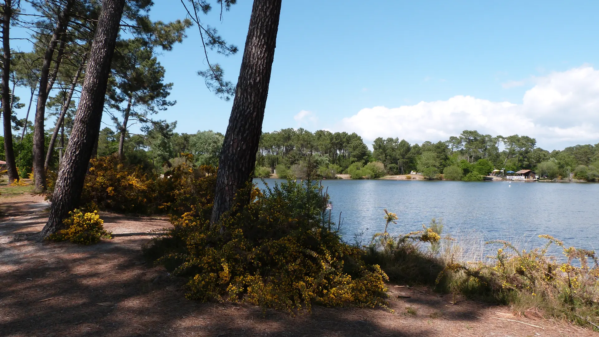 Lac de la Magdeleine (2)