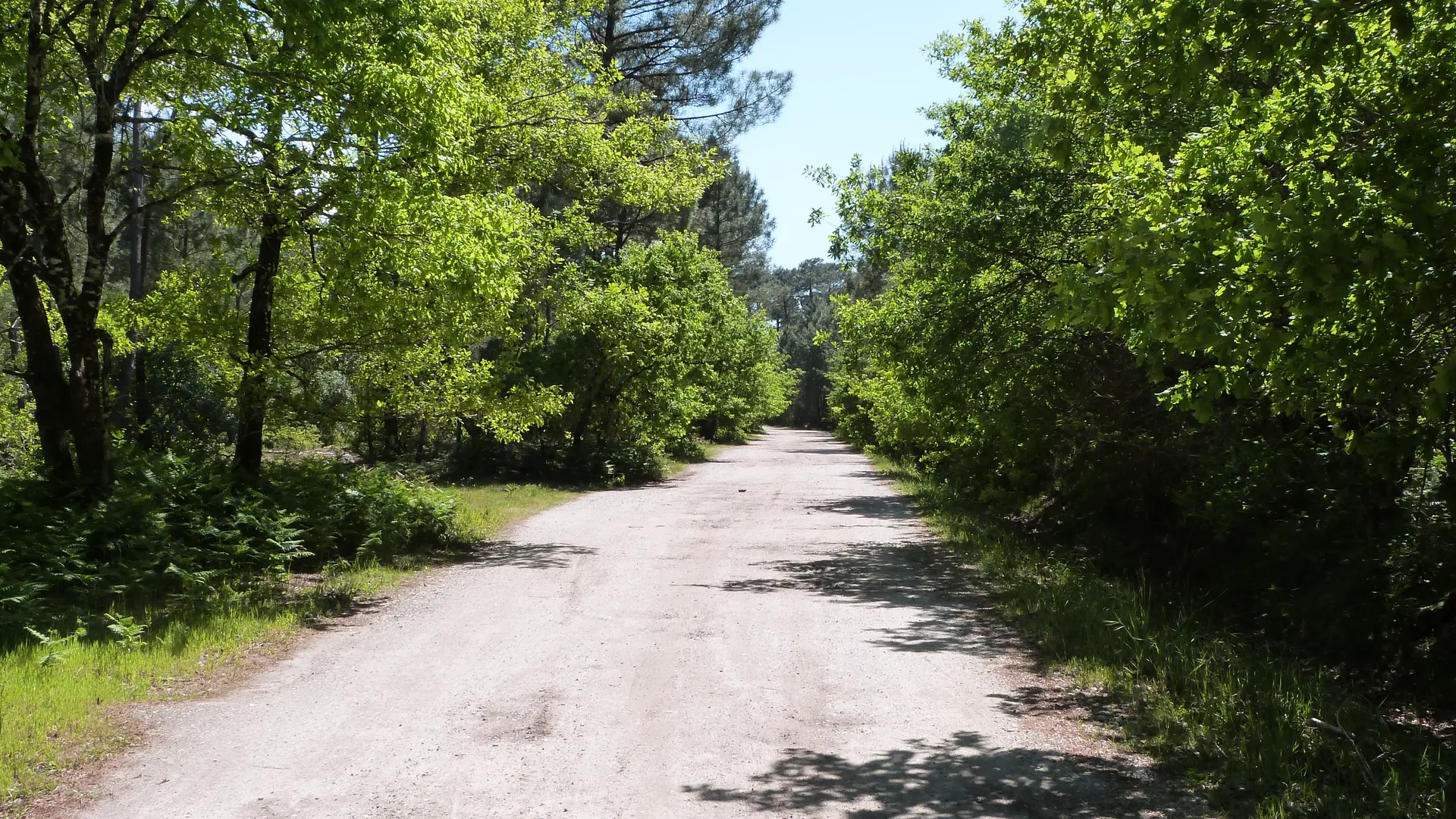 Lac de la Magdeleine (3)