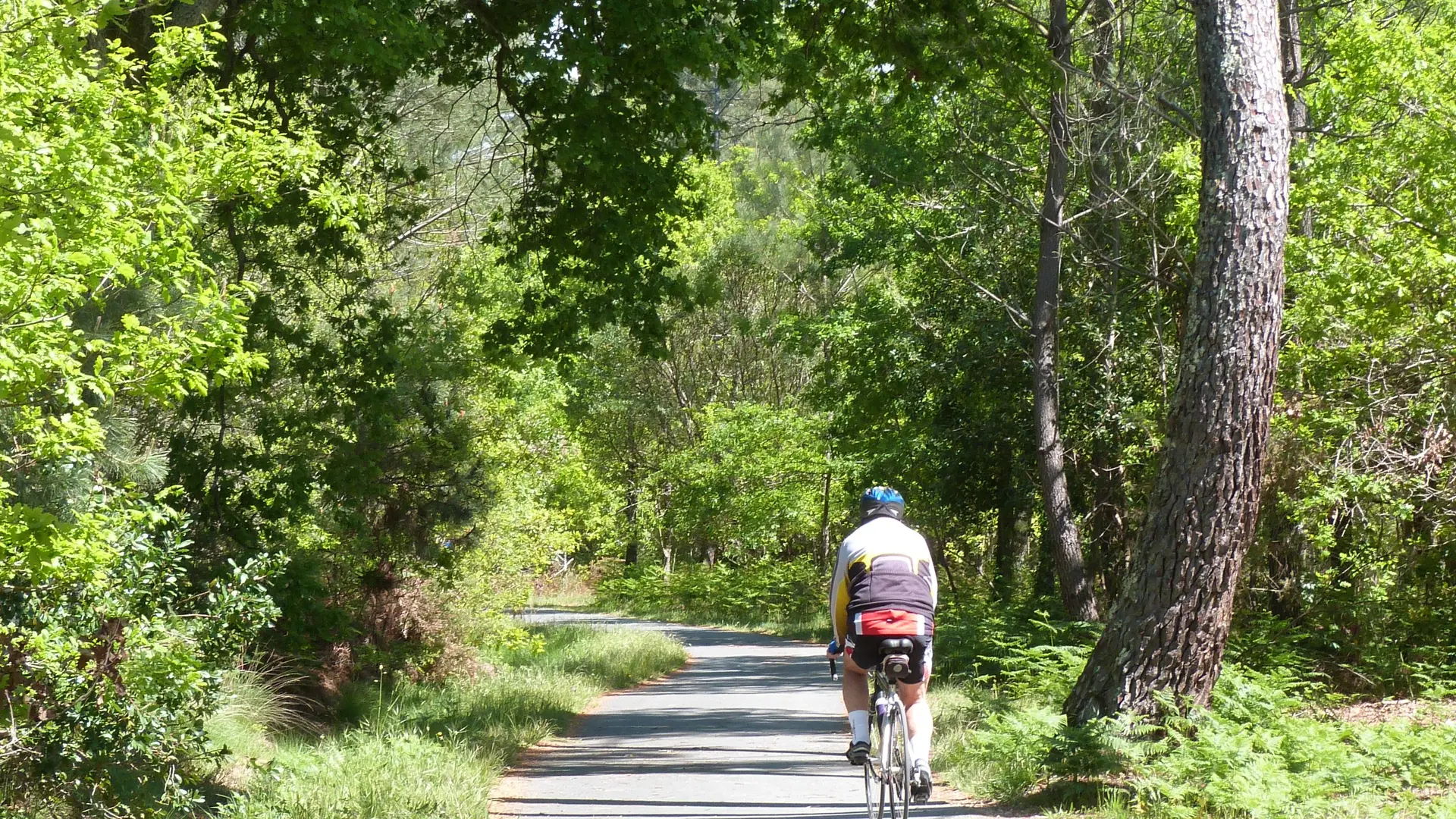 Lac de la Magdeleine (4)