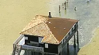 Le Bassin d'Arcachon - Cabane tchanquée