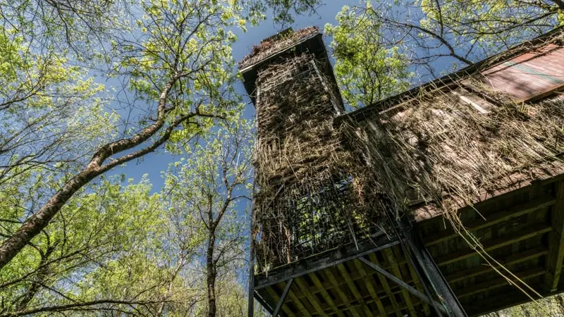 Les-Palombières-marais-de-Labarde1