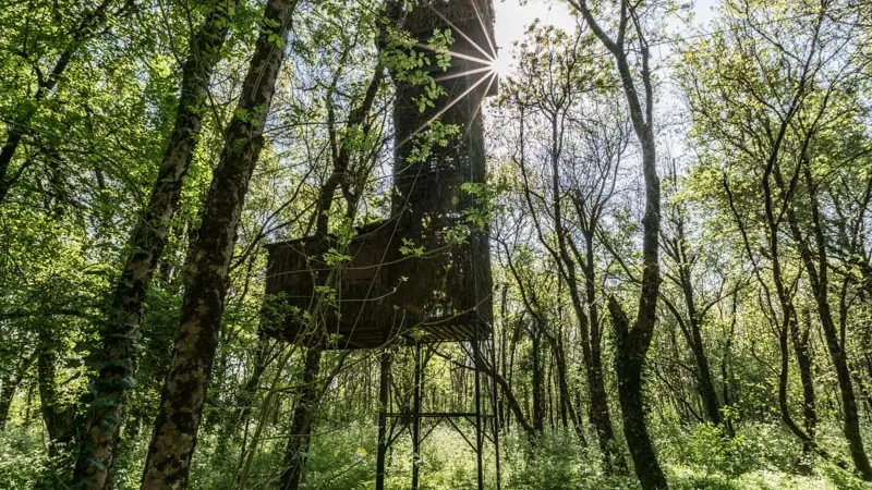 Les-Palombières-marais-de-Labarde2