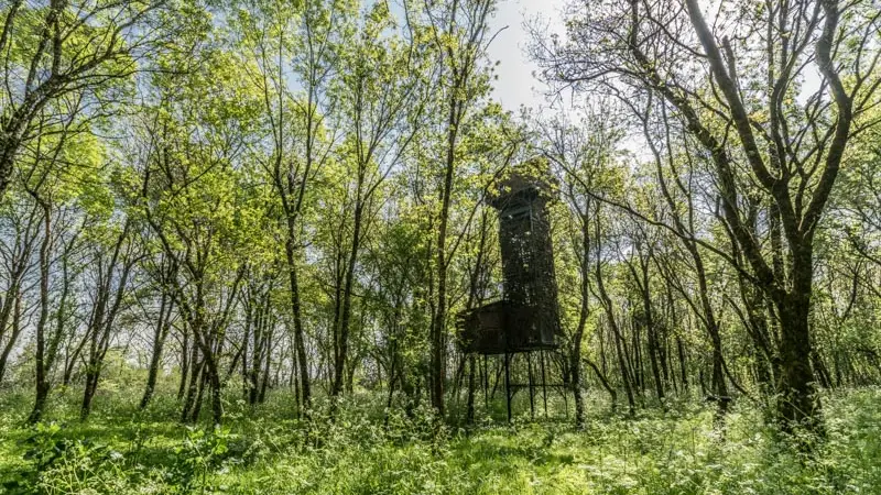 Les-Palombières-marais-de-Labarde3