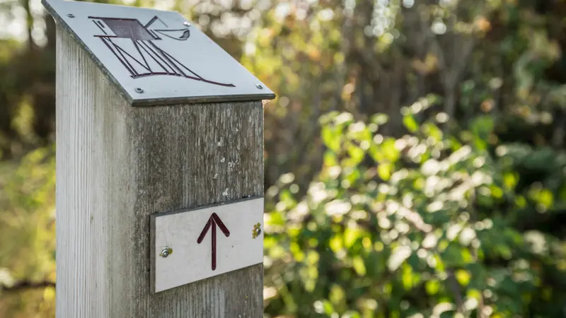 Les-mairais-de-Labarde1