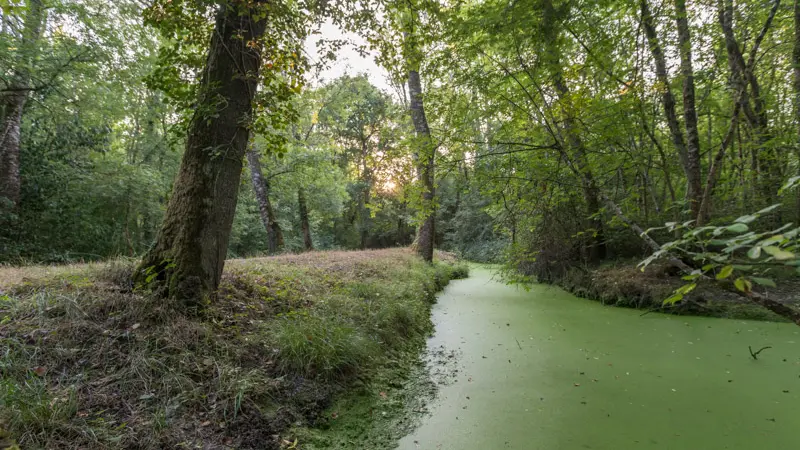 Les-mairais-de-Labarde3