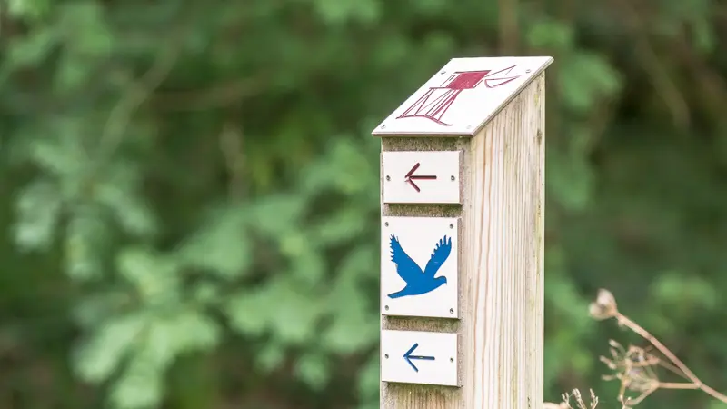 Les-marais-d-Arcins-Soussans1