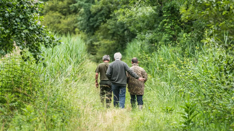 Les-marais-d-Arcins-Soussans3