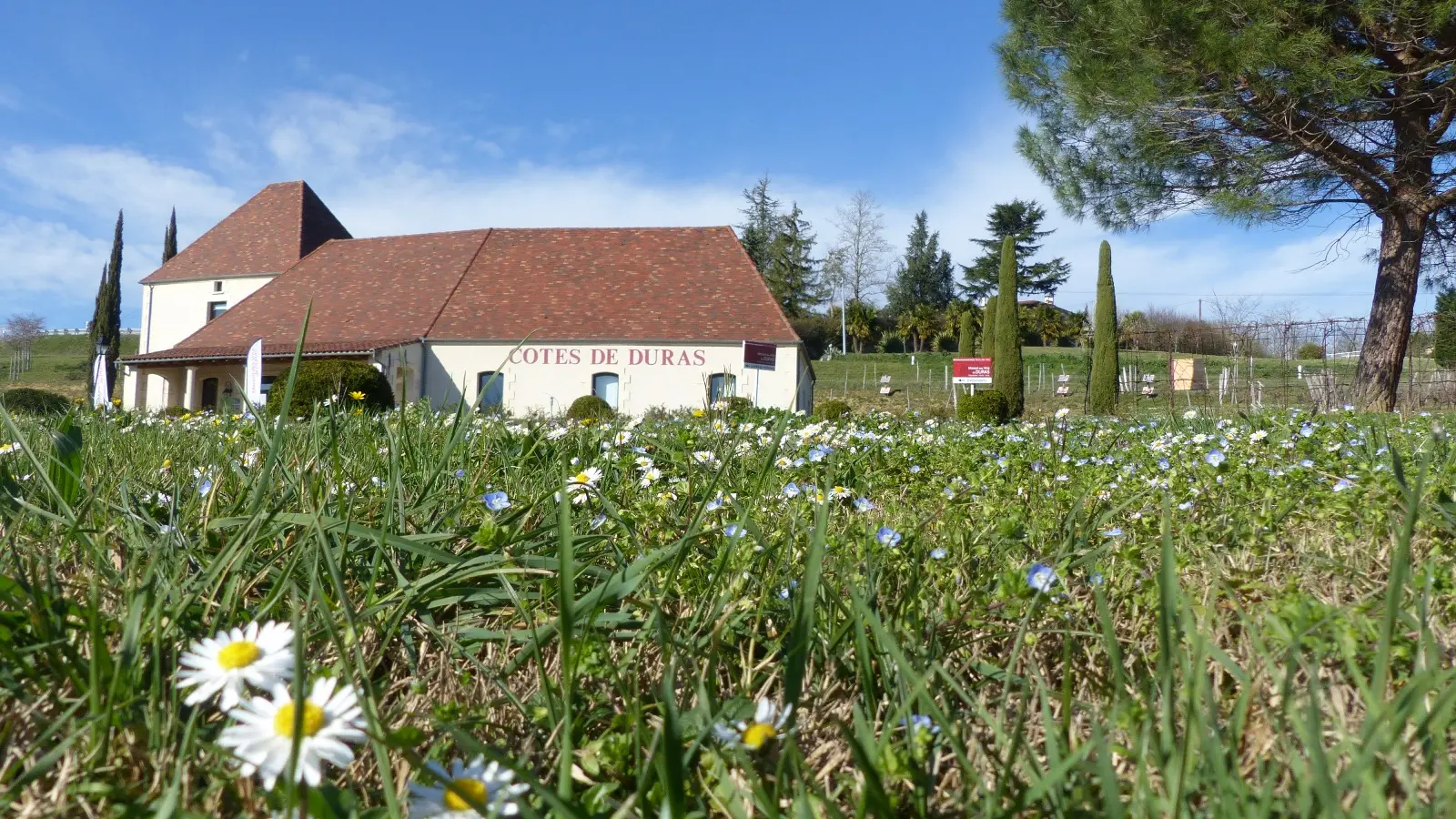 MAISON-DES-VINS-7