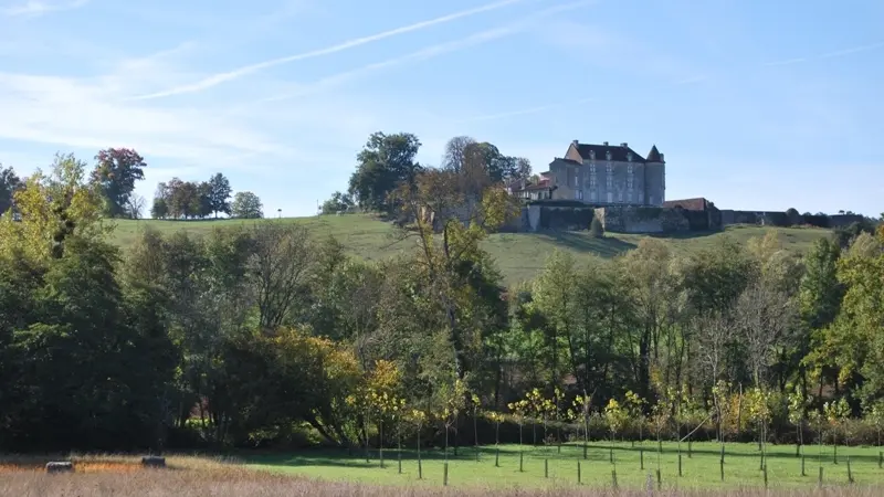 Chateau de montreal