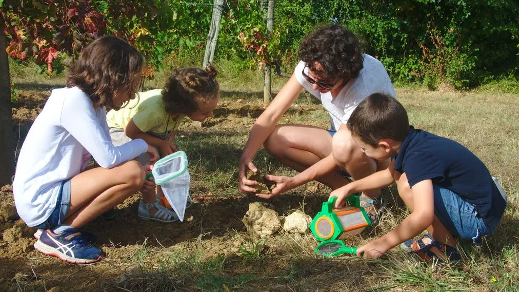 Observation du terroir