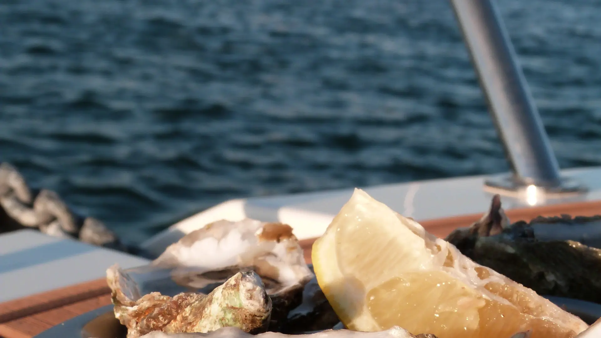 Dégustation d'huître