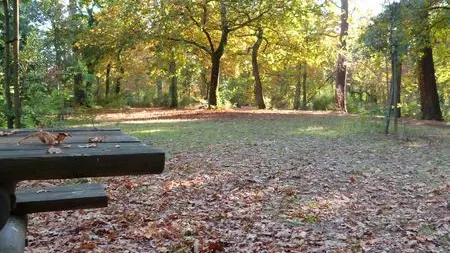 P1120747--800x600--2