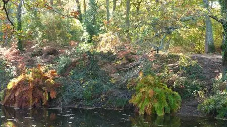 P1120792--800x600--3