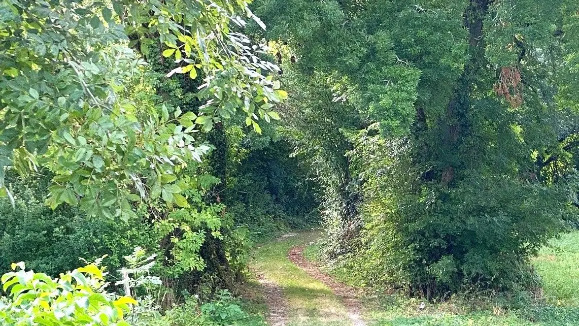 PAUSSAC SAINT VIVIEN-Boucle du Boulou-Chemin